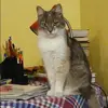 Отзыв от Валерия Фомичева